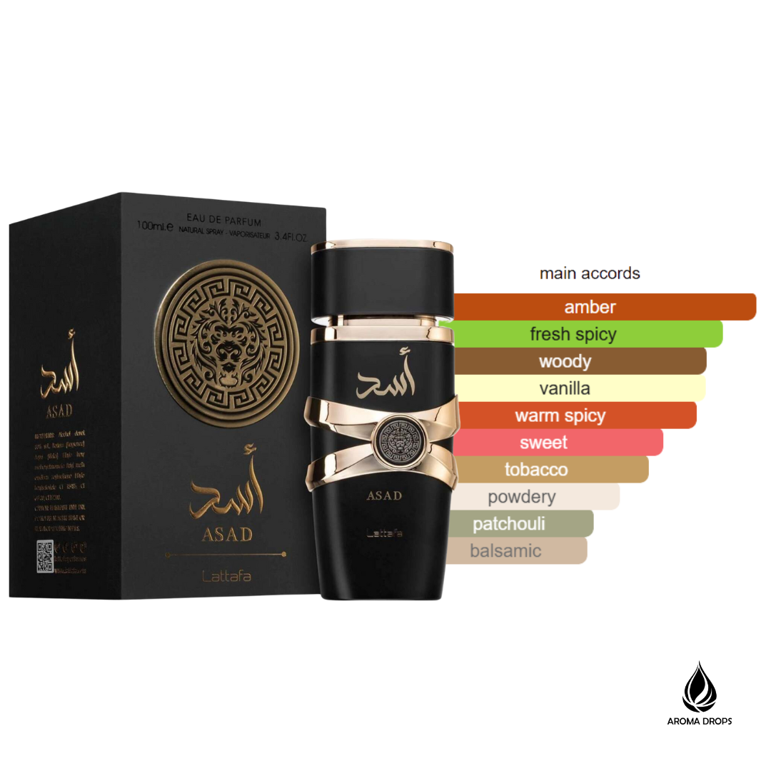 Asad EDP 100ml
